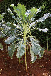 201208vol78-107.vol 78-107