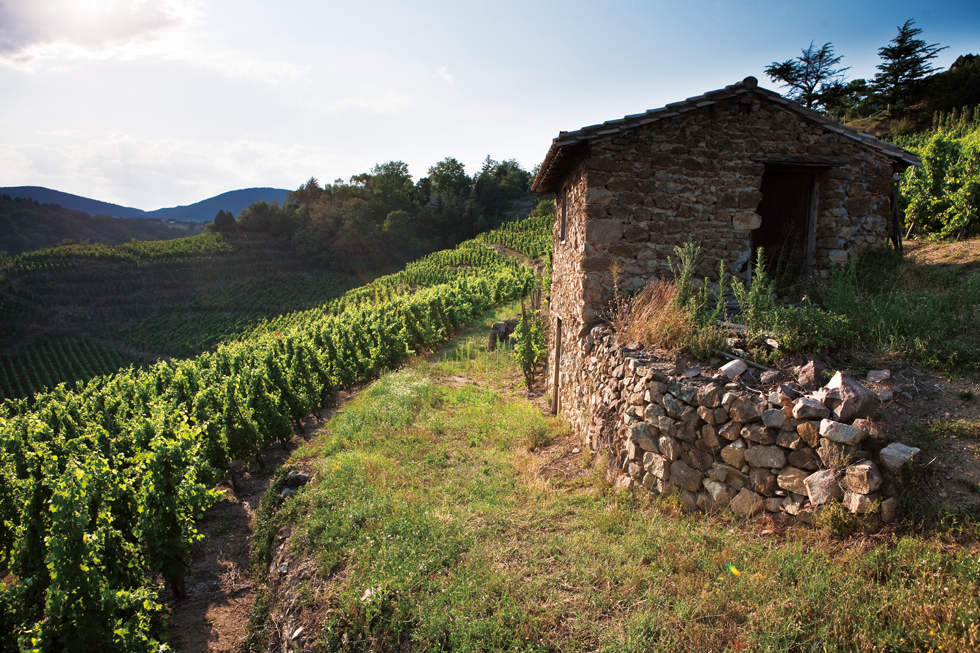 cotes-du-rhone septentrionales