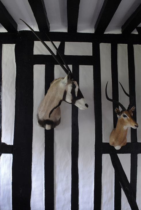 NORMANDIE SOUS INFLUENCES.