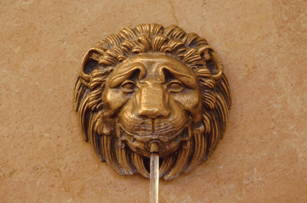 27.Griffon - photo D. Cabrol-----