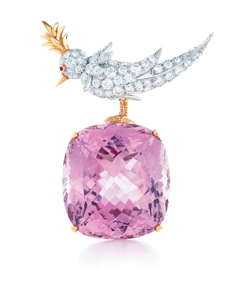 Blue Book 2010-2011Page 108