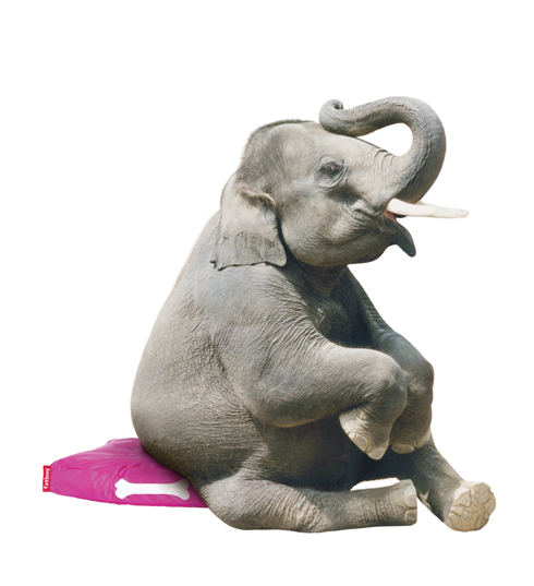 TheDoggielounge-----