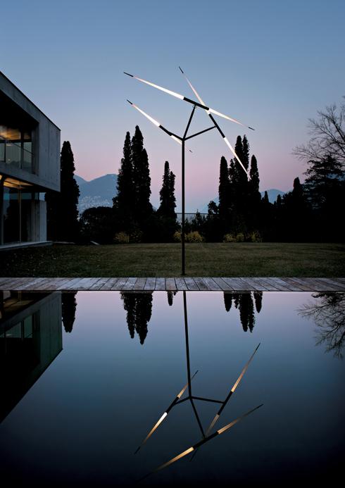 javelot macro outdoor-----