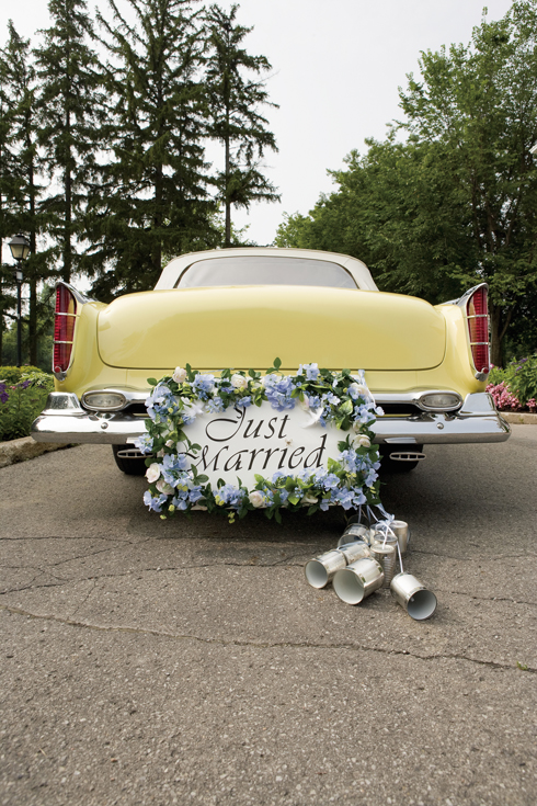 shutterstock_27411943-----