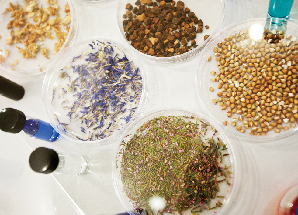 노에사 성분_알케메틱스 01-----