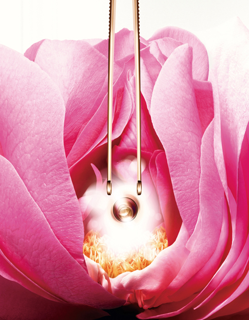 LANCOME_ABSOLUE_EXTRAIT_ROSE 사본-----