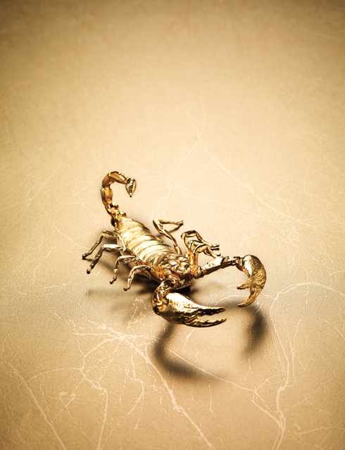 P111126 sc_0262-----