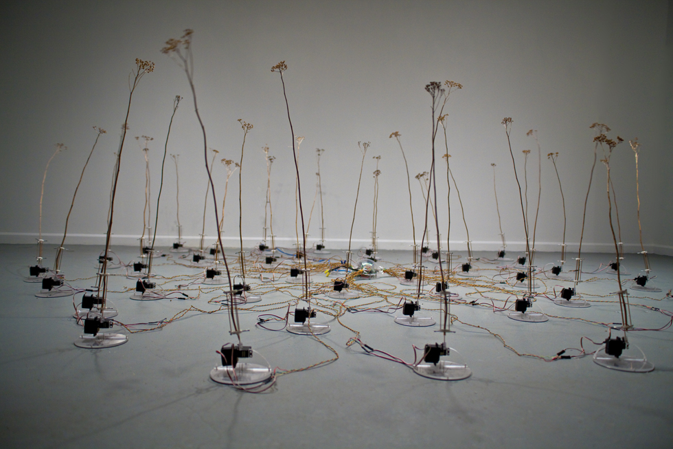 david_bowen_tele_present_wind