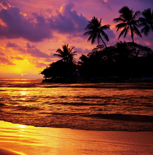 사본 -shutterstock_79077442-----