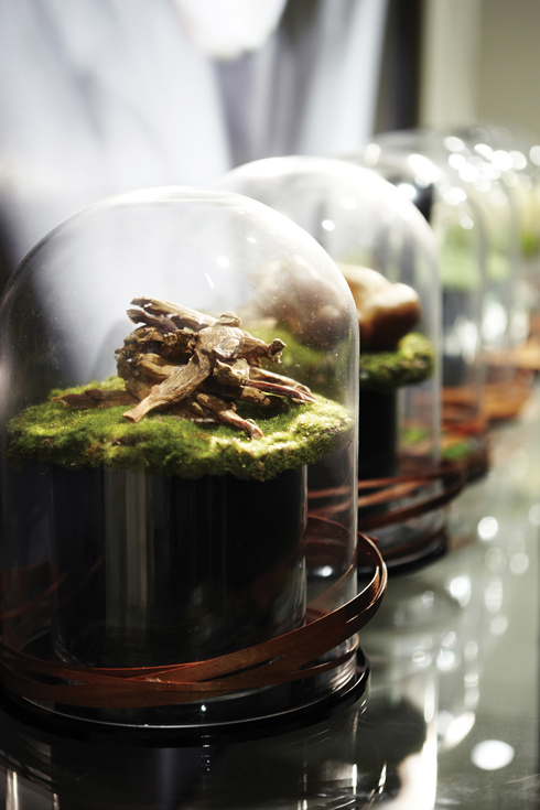 아모레퍼시픽 스파 오픈_아시안보태니컬성분-----