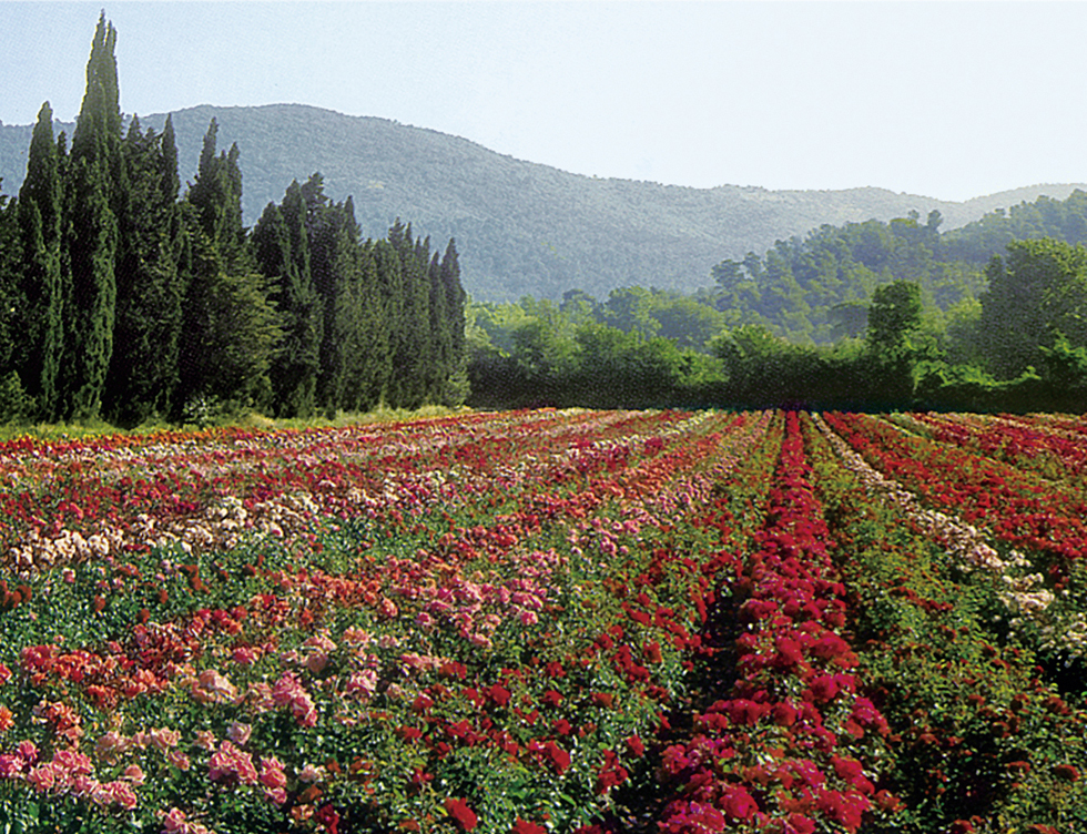 프랑스의 샤또 드 라 로이르 (Chateaux de la Loire) 지역-----