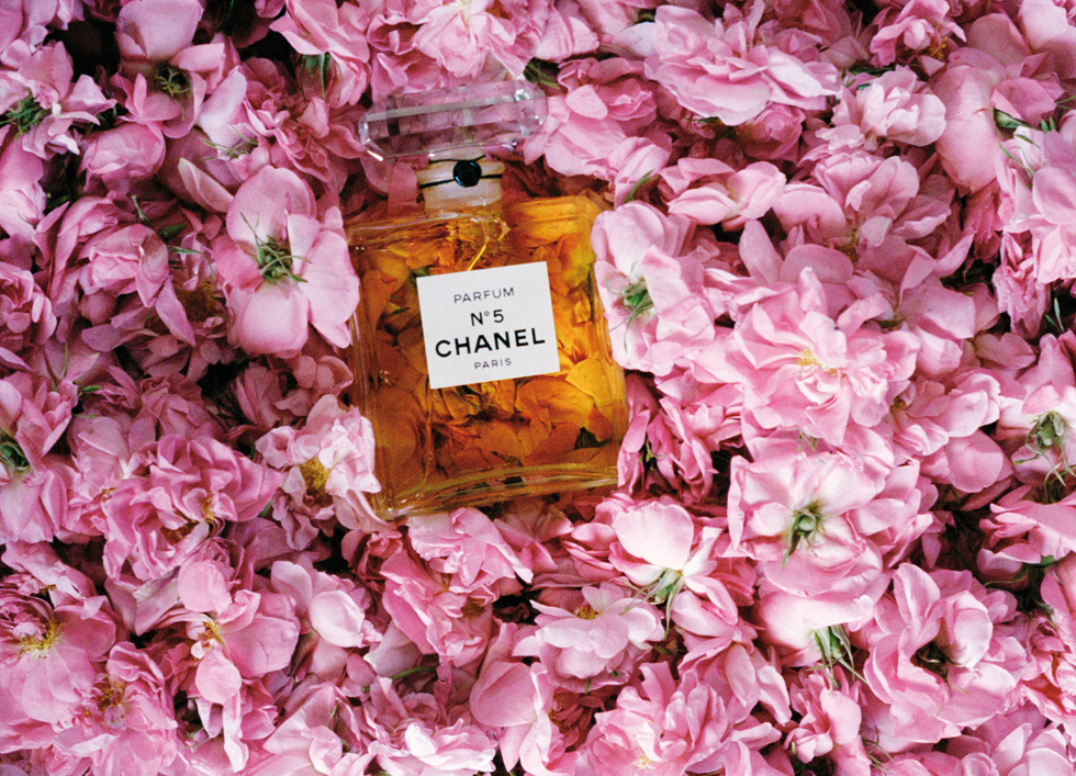 GRASSE_ROSE DE MAI_43