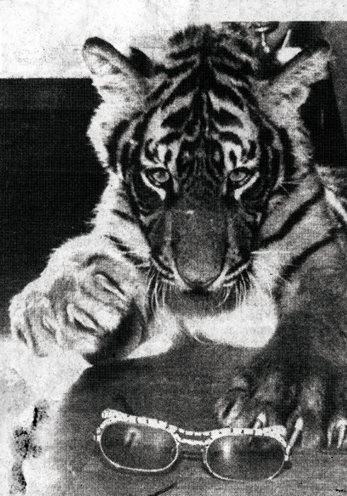 201503_dreammanufacture_04