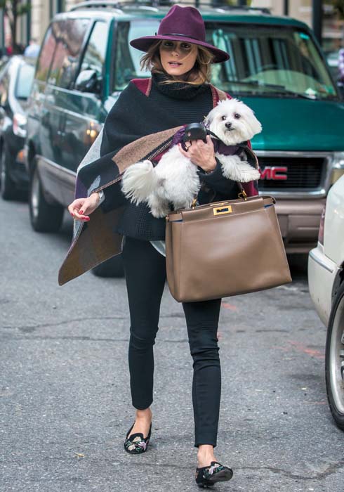 Olivia Palermo running errands in Brooklyn with her dog Mr. Butler