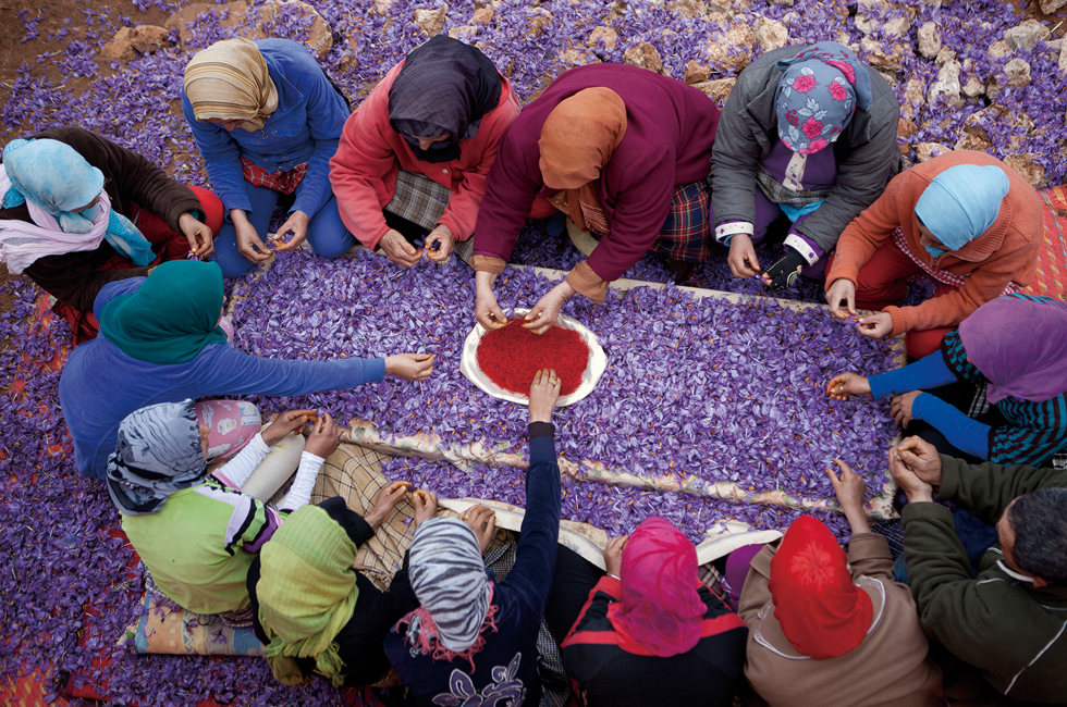 SAFRAN MAROC NOVEMBRE 2012