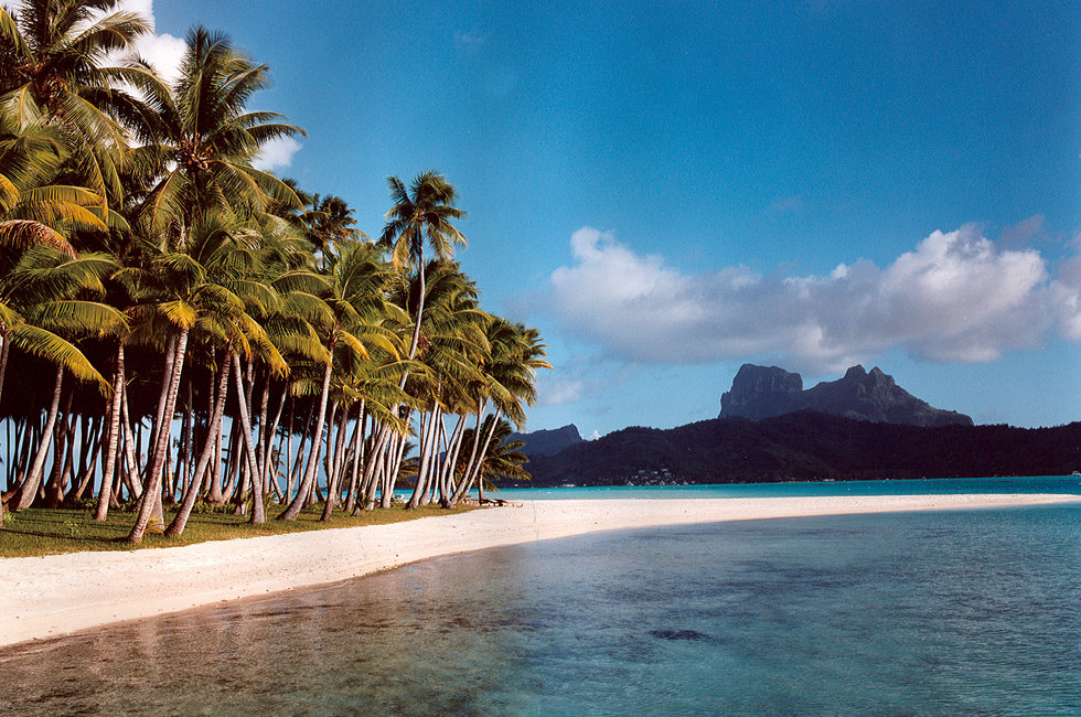 201506_thedreamyland_01