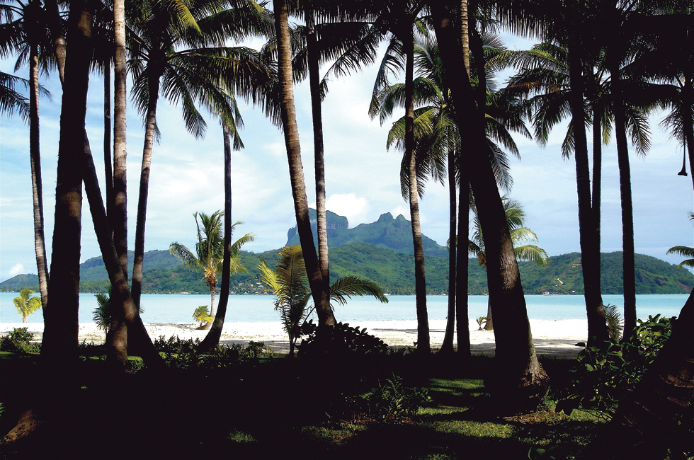 201506_thedreamyland_04