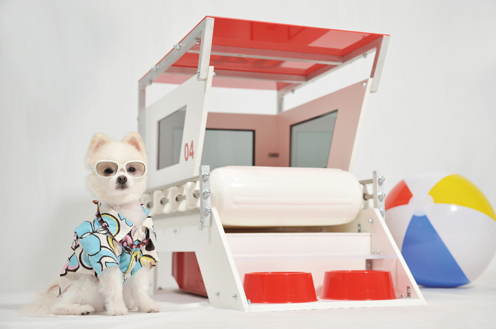 20150916_artistsandpets_06