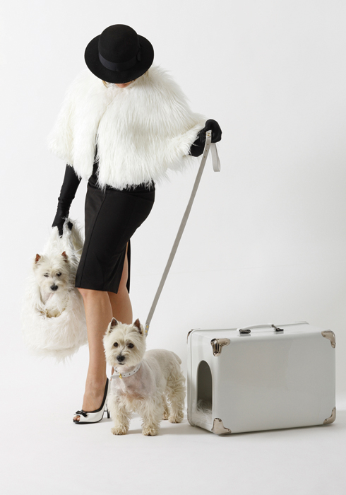 20150916_artistsandpets_08