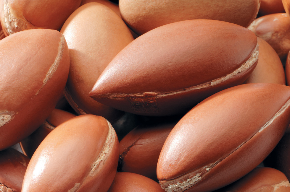 201510_oilfromnature_03