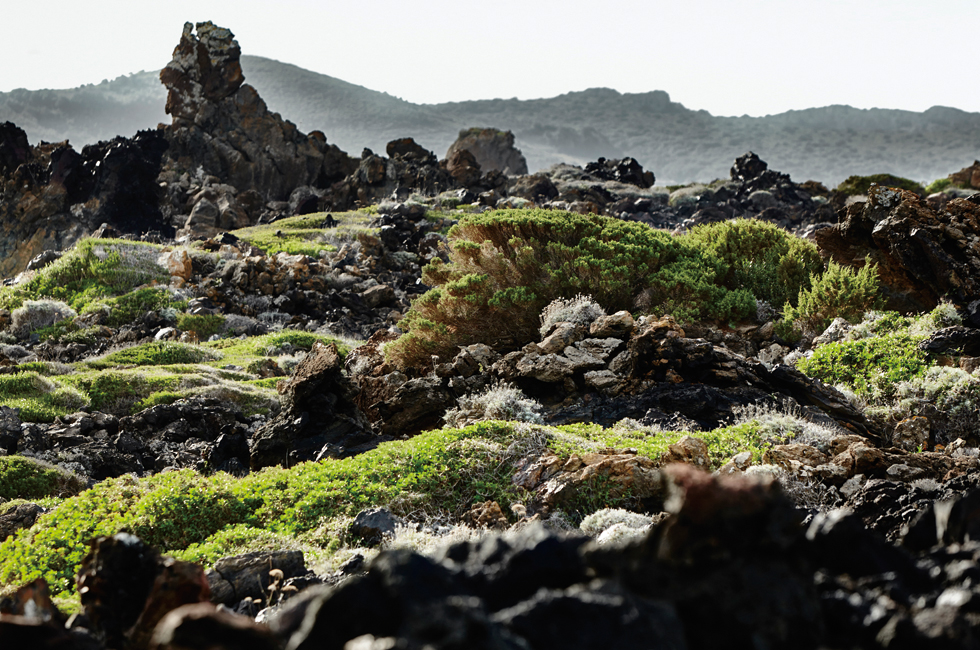 201510_resetyourskin_05