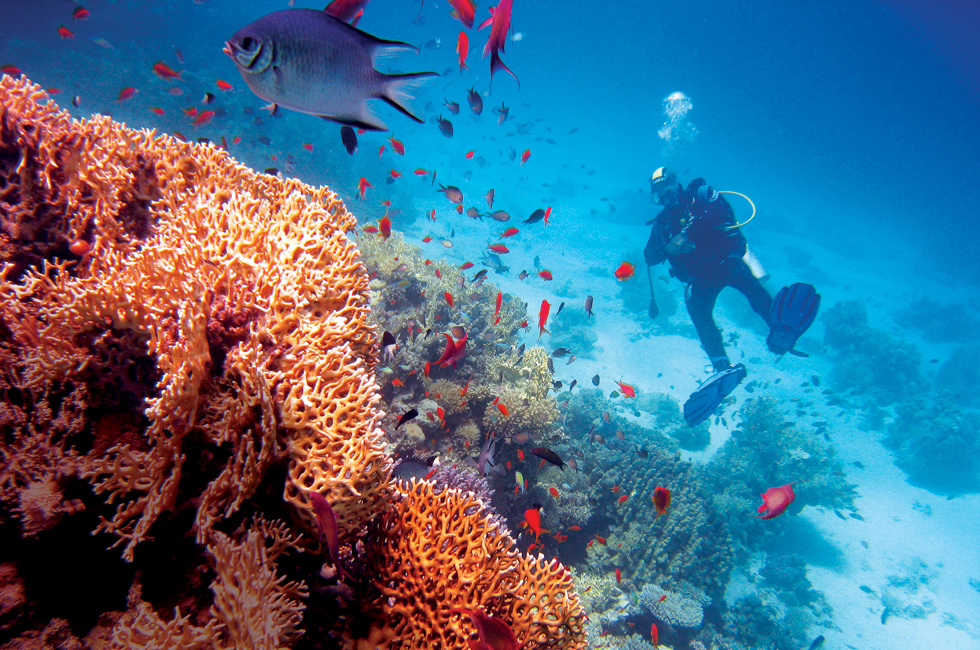 201602_heavenlyparadise_07