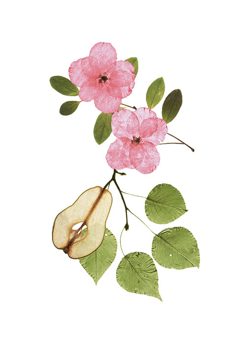 20160706_absolute-Luxury_08