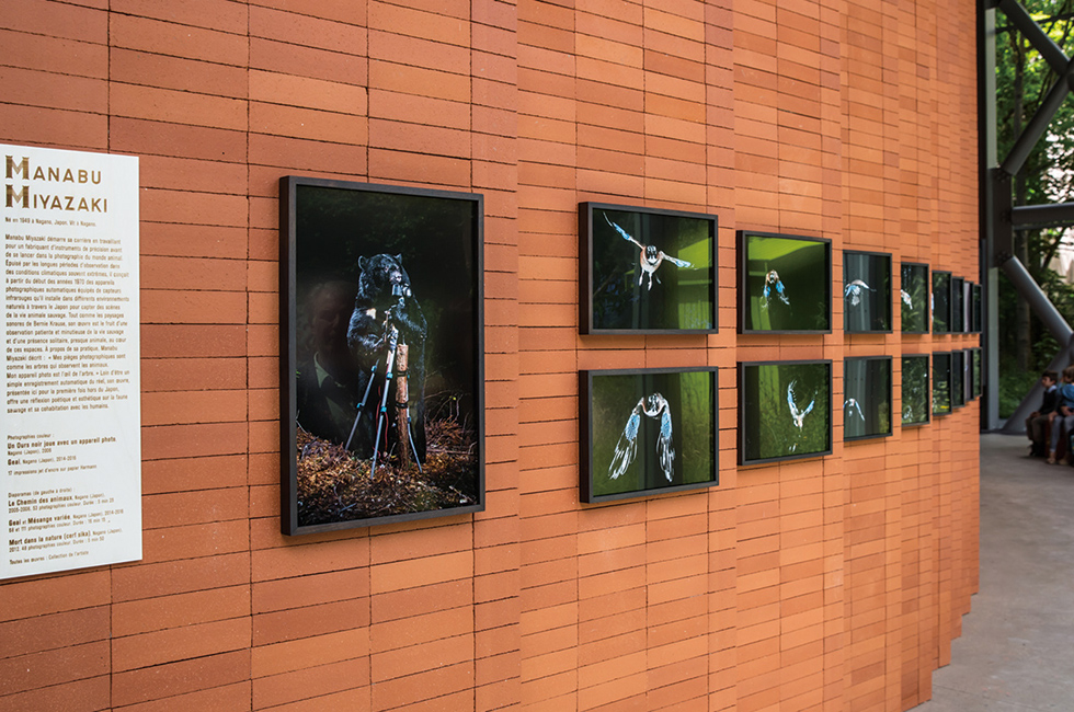 20161116_original_03