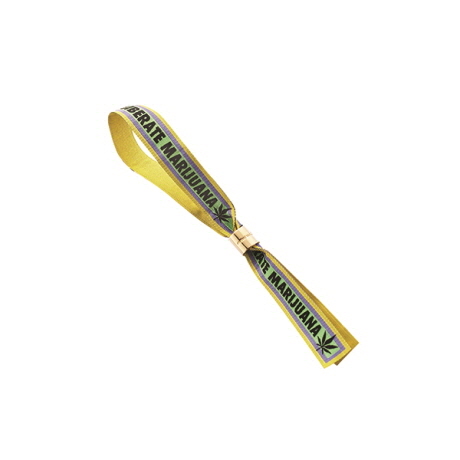 팜 앤젤스 by 분더샵