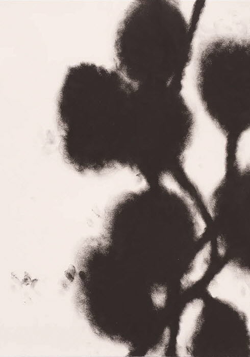 20170607_exhibition_07