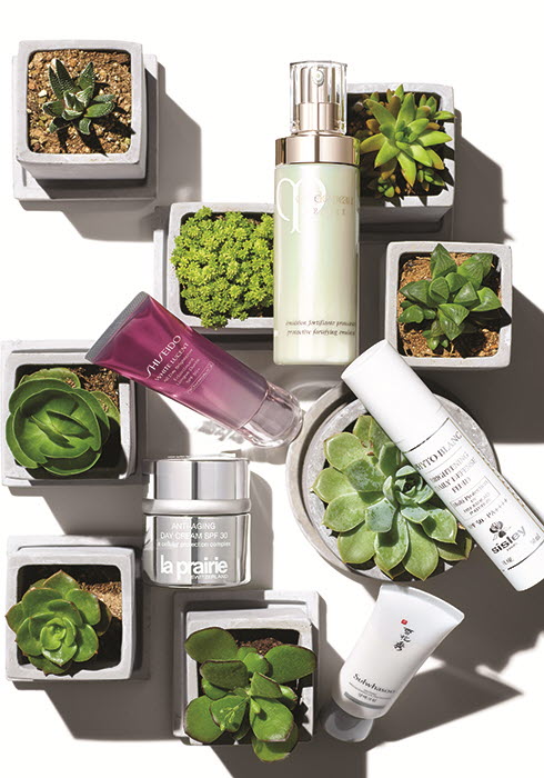 20170607_insight_b_01