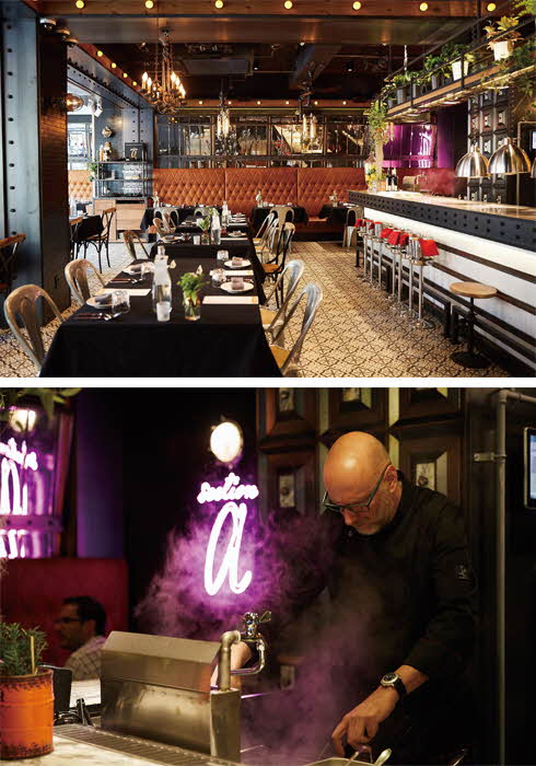 20170705_insight_h_01