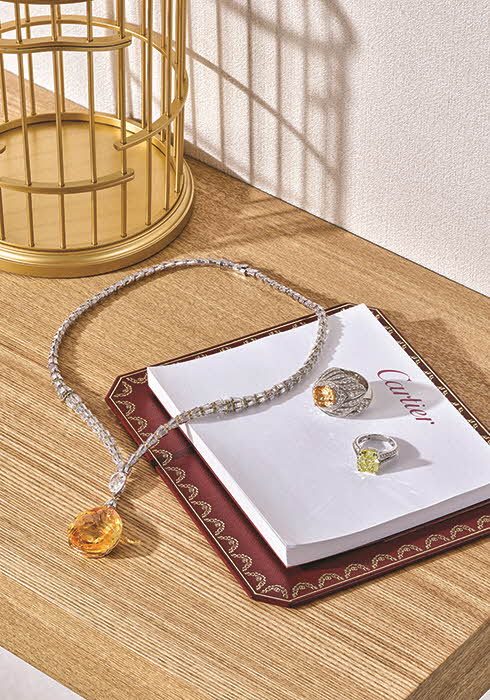 20170705_magicien_03