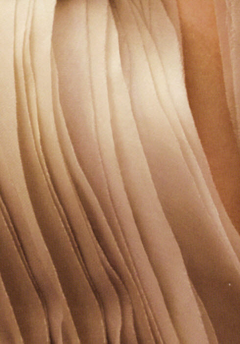 20180102_brand story_7 copy