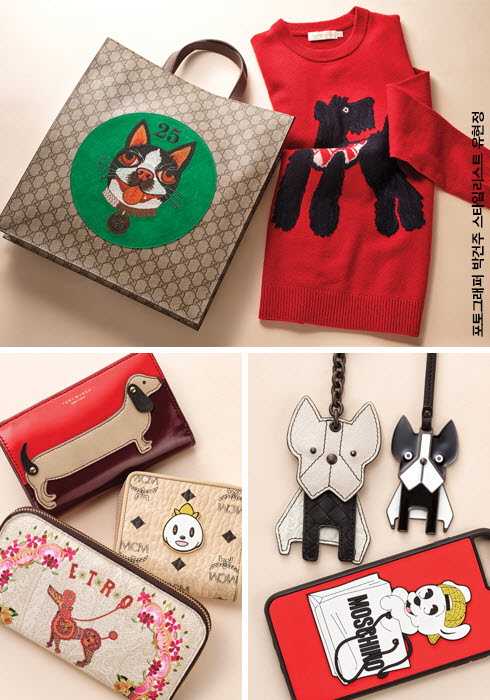 20180307_insight_f_01