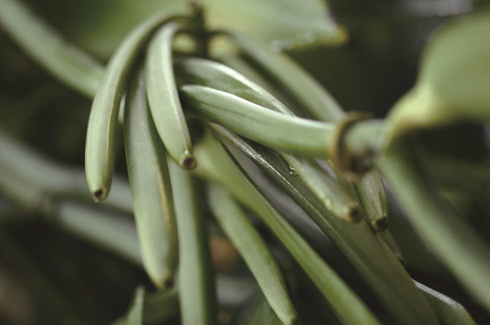 20180404_skincare_02