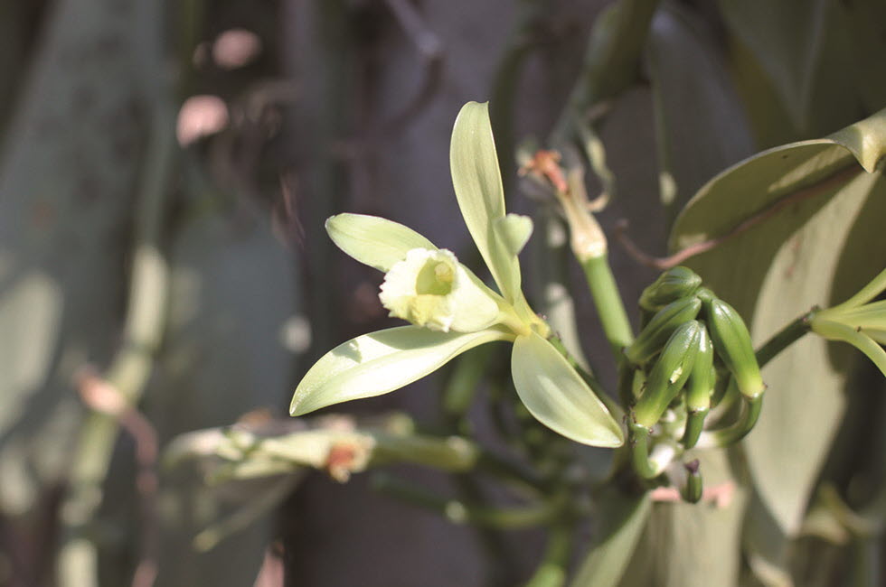 20180404_skincare_03