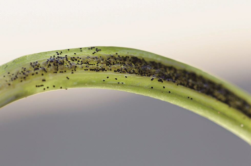 20180404_skincare_04