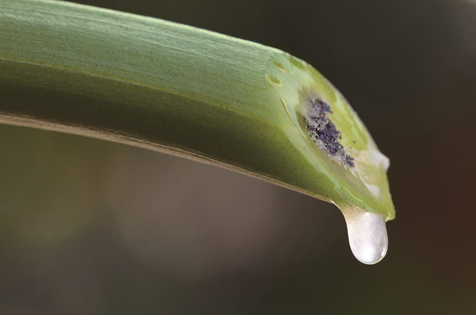 20180404_skincare_05