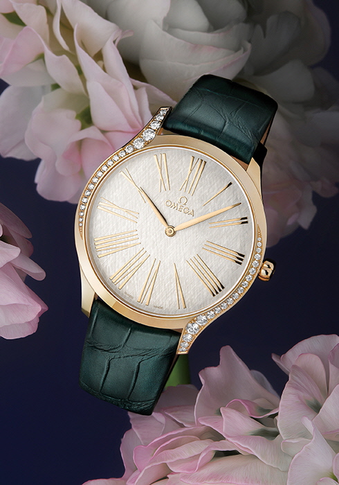 20131119 style chosun0283