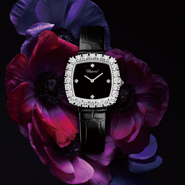 쇼파드